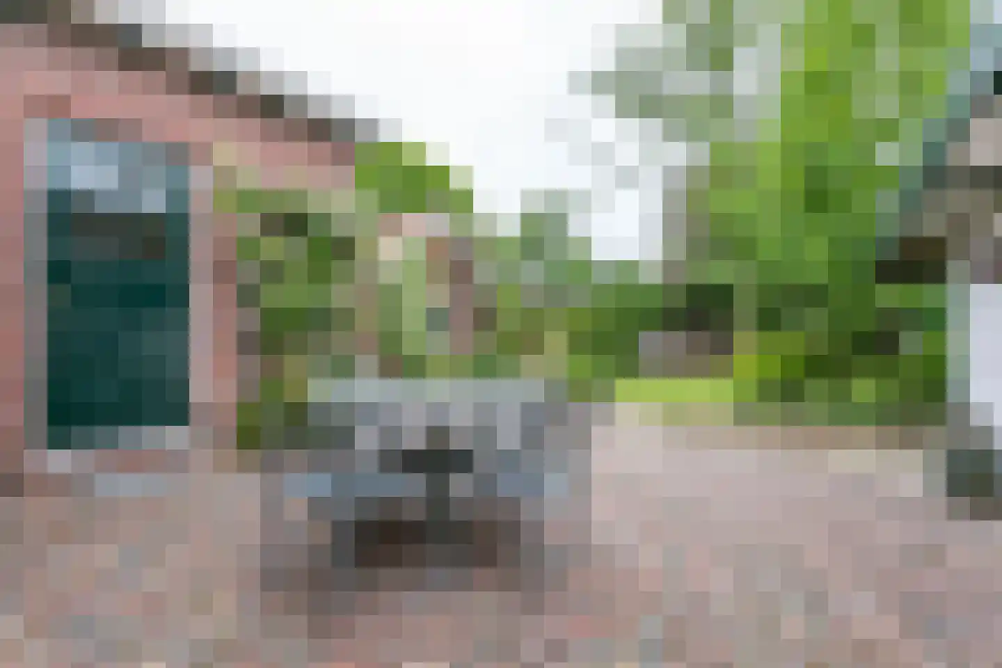 Treebeekstraat 24 Brunssum thumbnail 49
