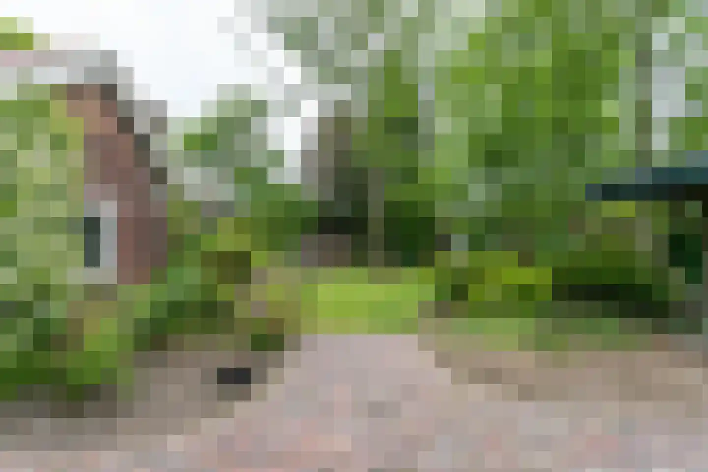 Treebeekstraat 24 Brunssum thumbnail 50