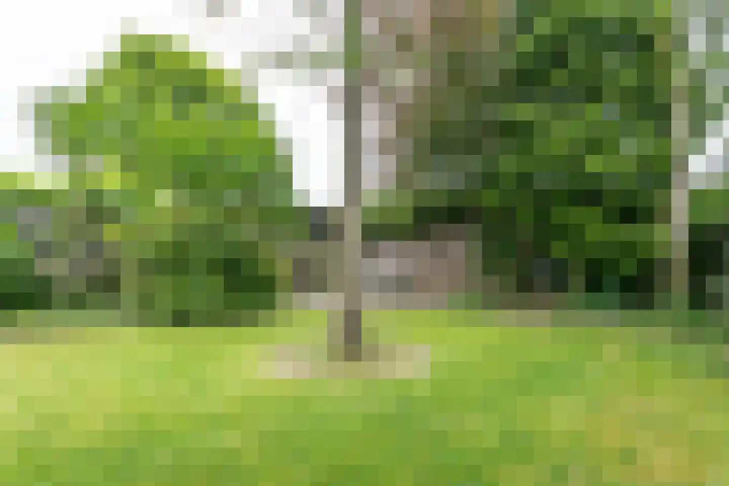 Treebeekstraat 24 Brunssum thumbnail 51