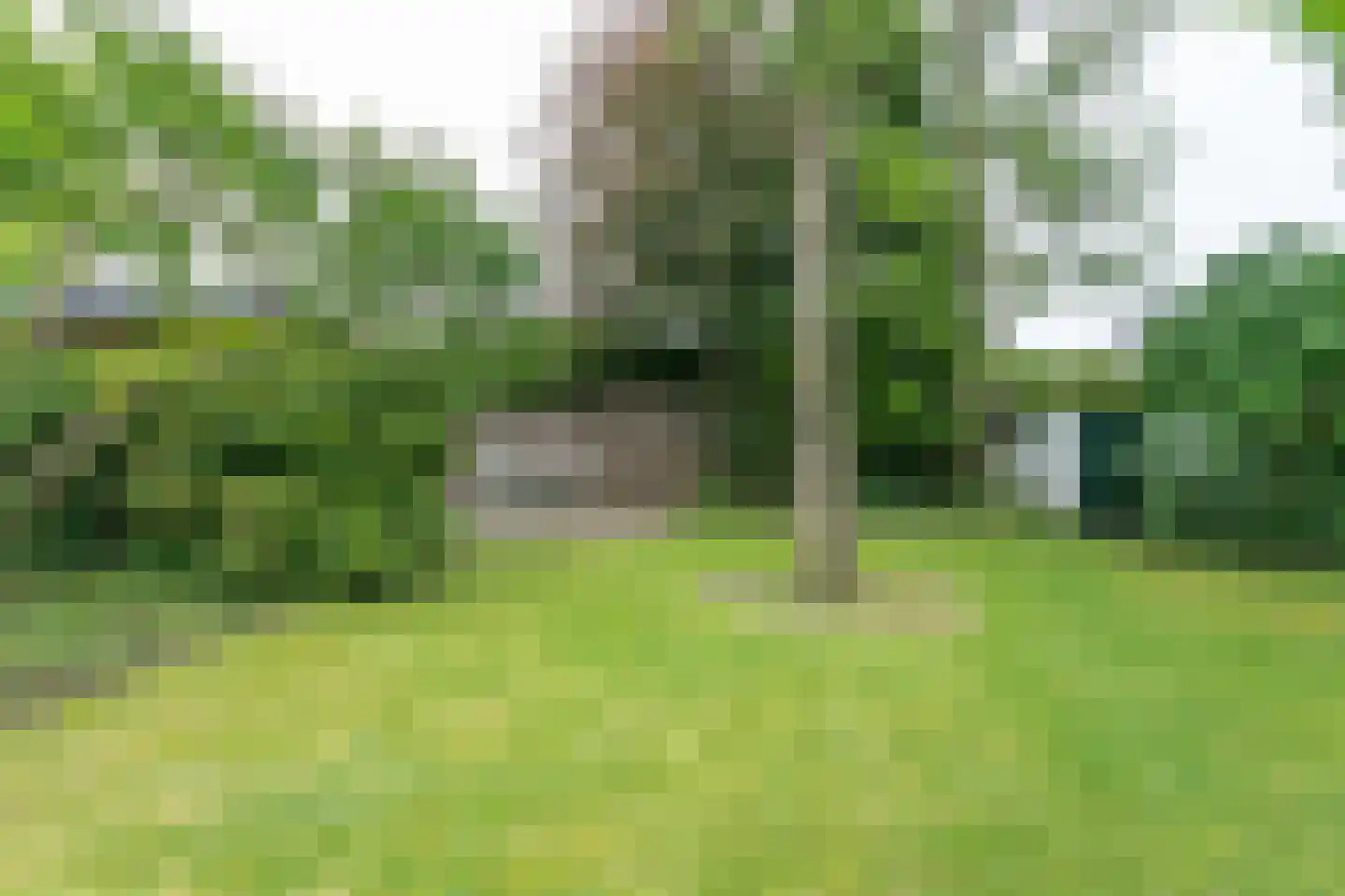 Treebeekstraat 24 Brunssum thumbnail 52