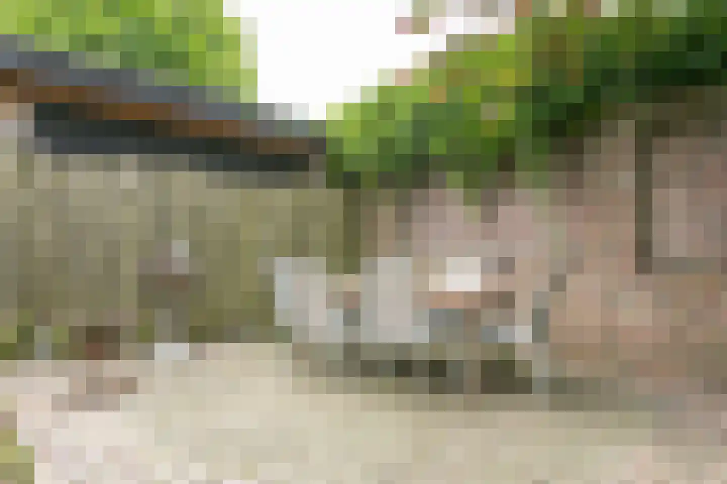 Treebeekstraat 24 Brunssum thumbnail 53