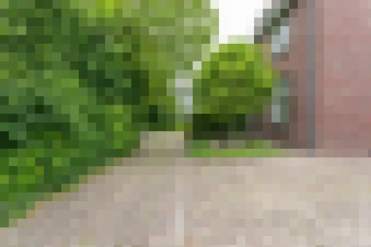 Treebeekstraat 24 Brunssum thumbnail 60