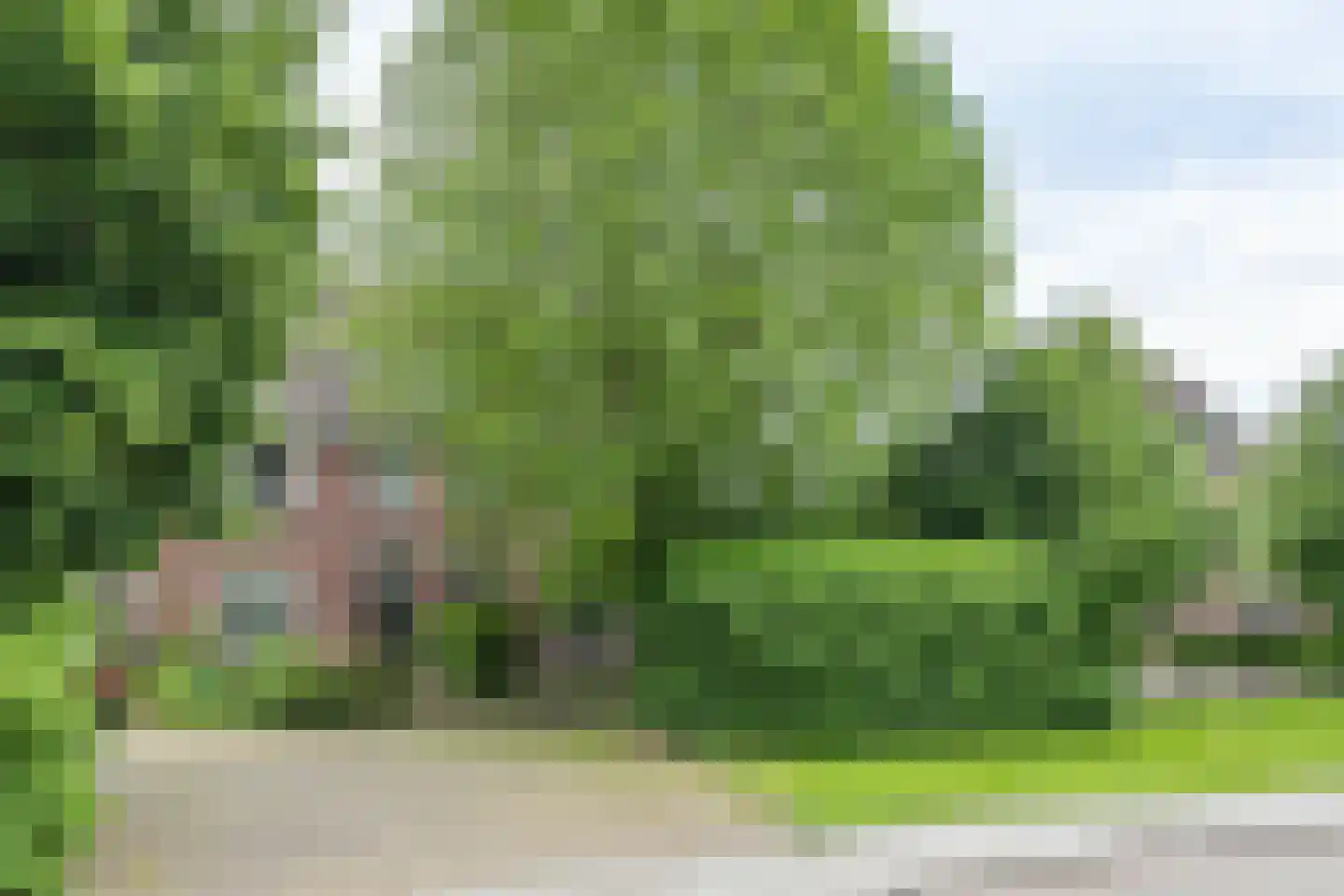 Treebeekstraat 24 Brunssum thumbnail 61