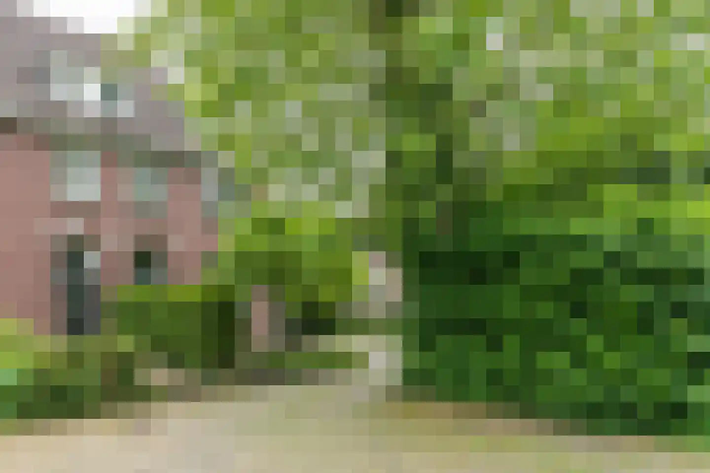 Treebeekstraat 24 Brunssum thumbnail 62