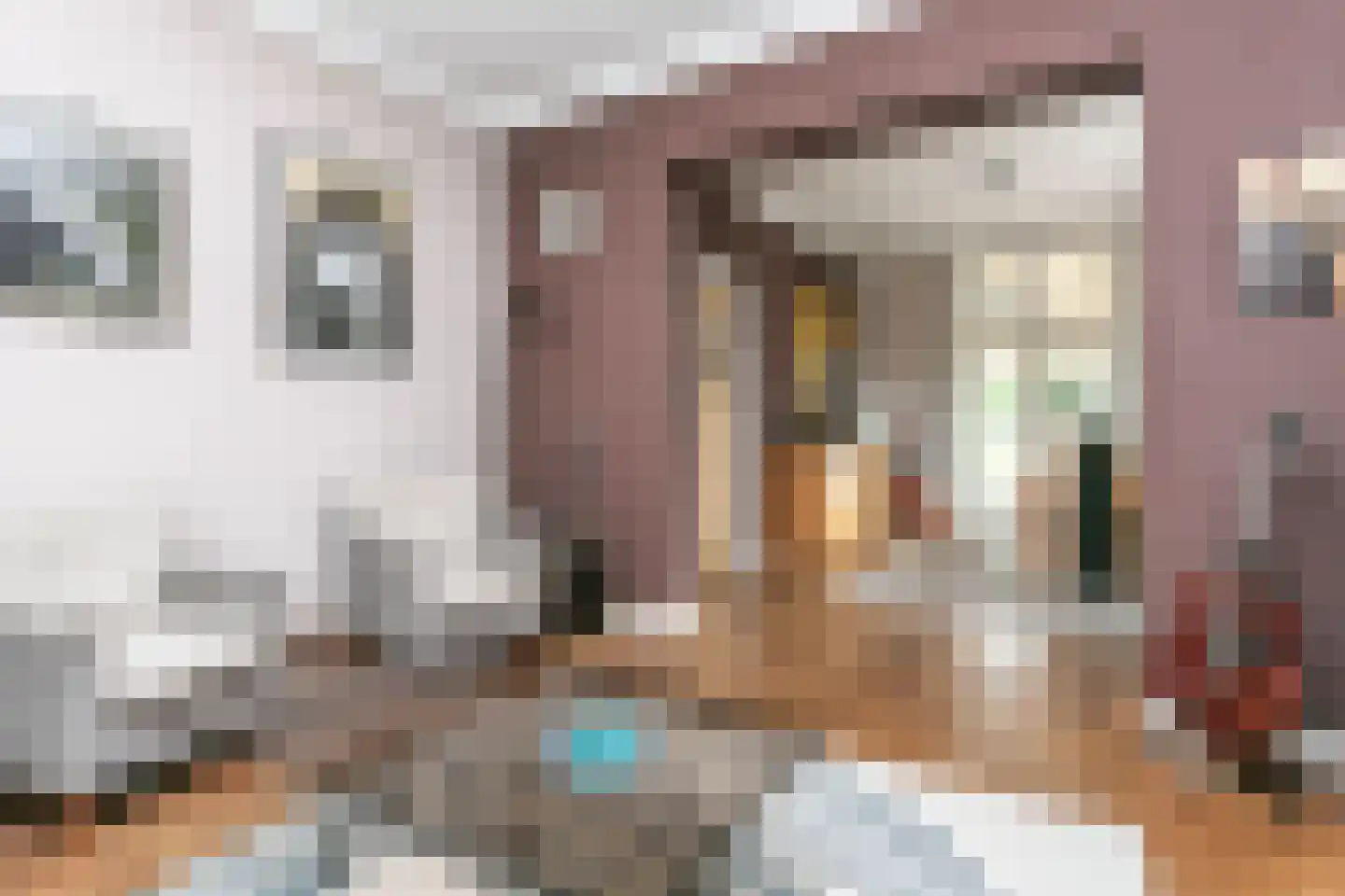 Treebeekstraat 24 Brunssum thumbnail 8