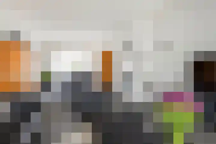 Treebeekstraat 40 Brunssum thumbnail 13