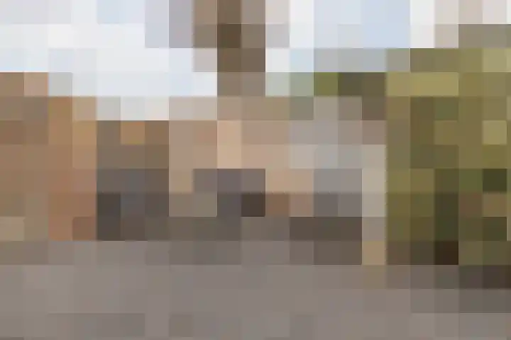 Treebeekstraat 40 Brunssum thumbnail 34