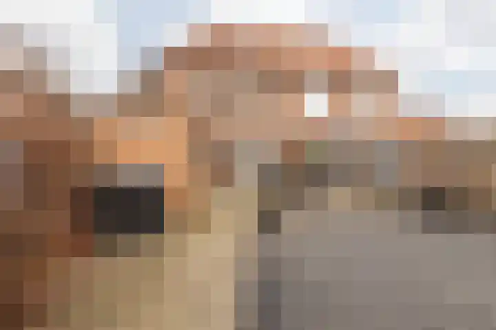 Treebeekstraat 40 Brunssum thumbnail 36