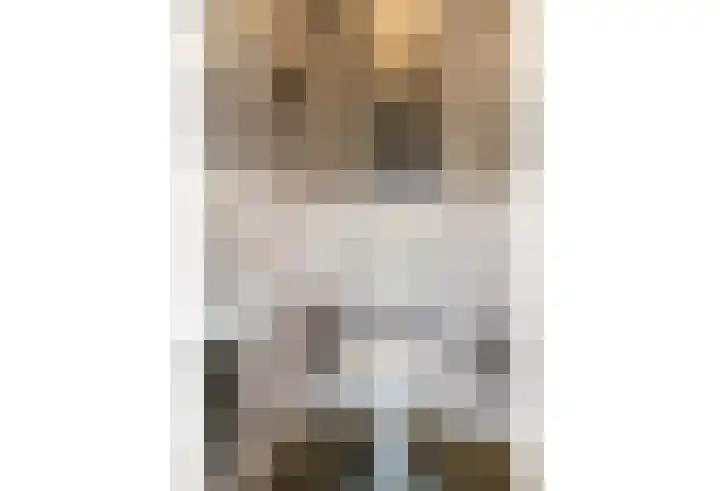Treebeekstraat 40 Brunssum thumbnail 6