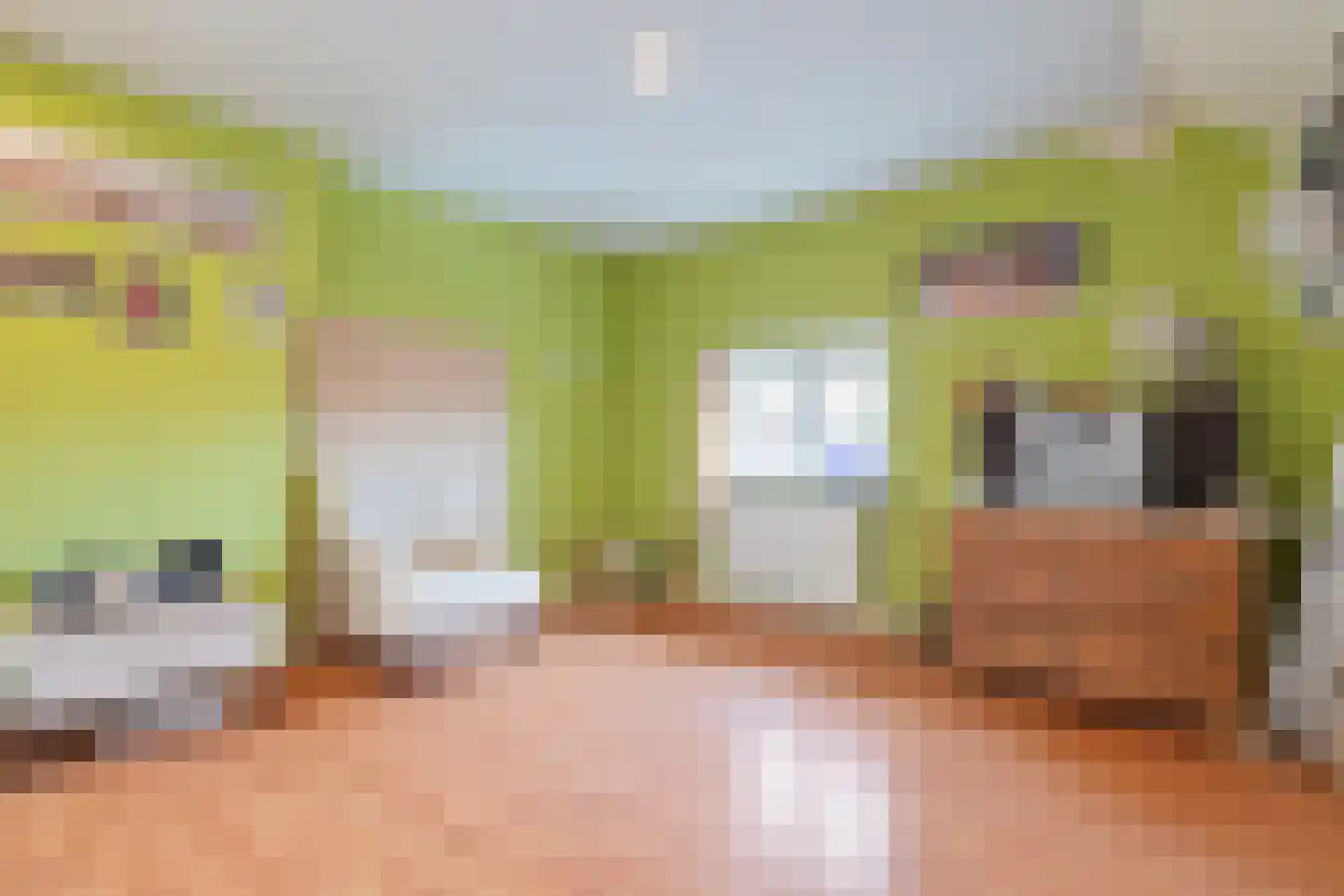 Treebeekstraat 46 Brunssum thumbnail 29