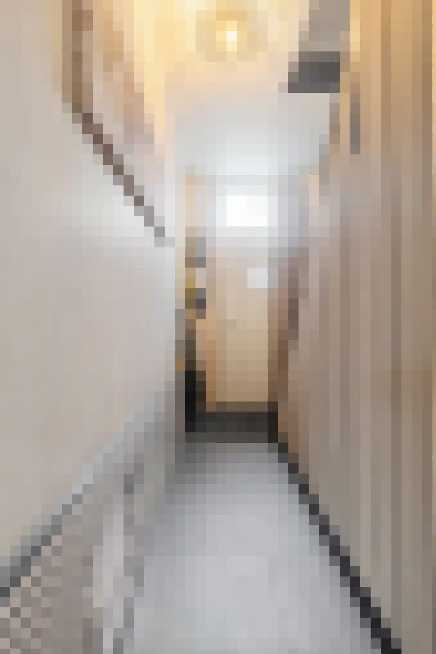 Treebeekstraat 46 Brunssum thumbnail 38