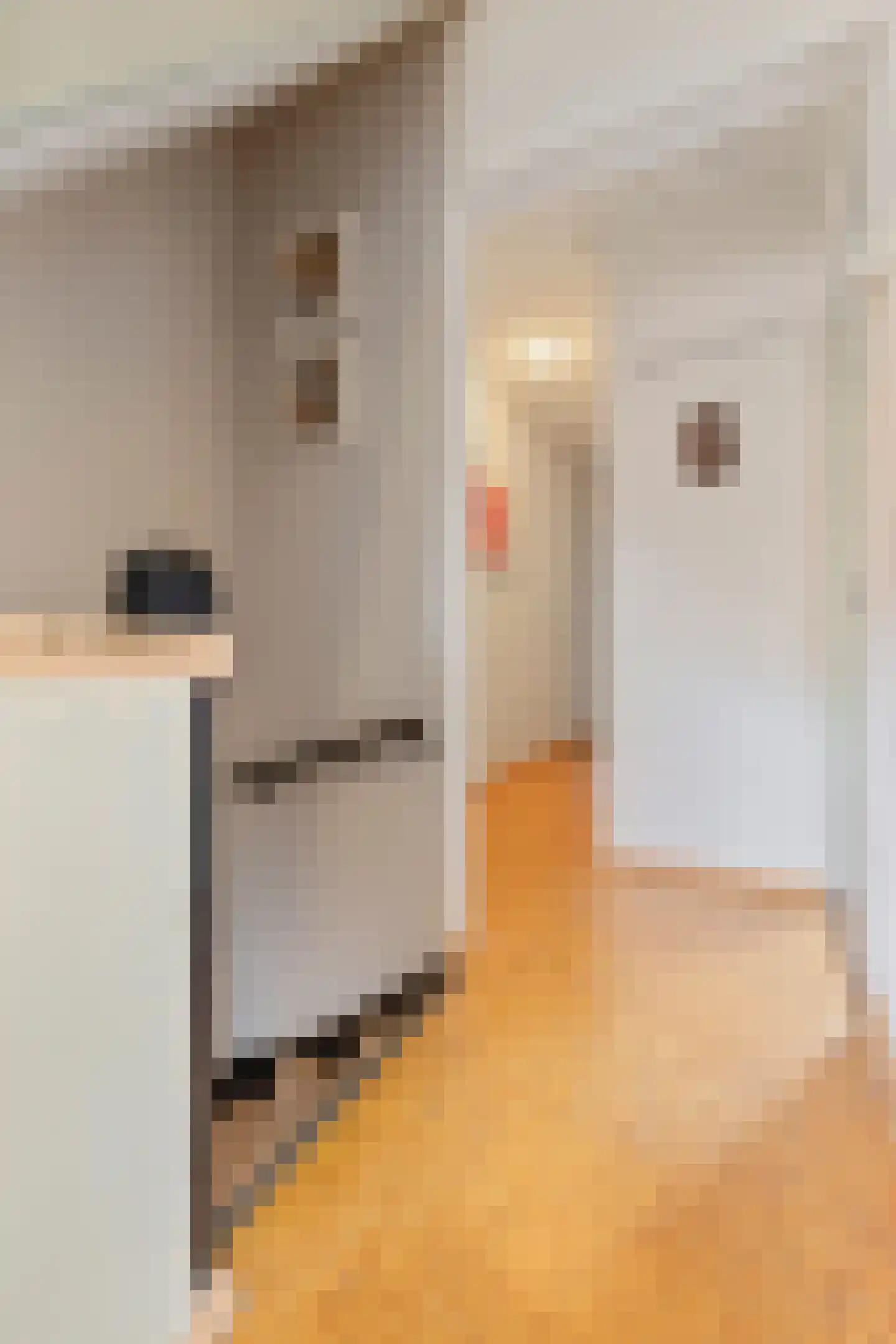 Treebeekstraat 46 Brunssum thumbnail 41