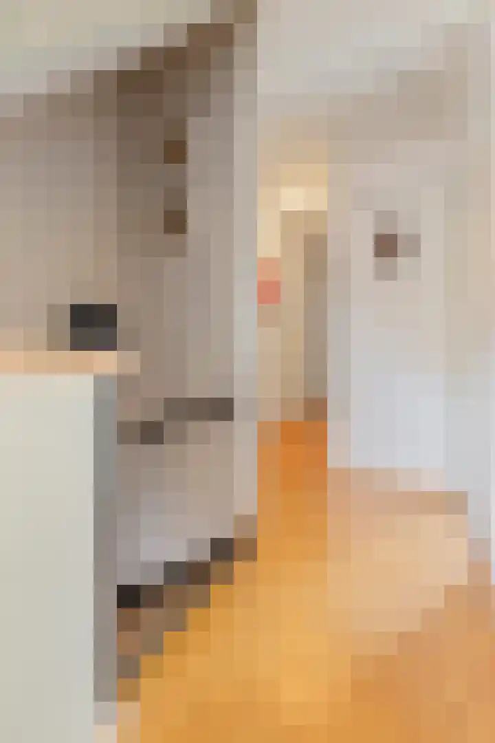 Treebeekstraat 46 Brunssum thumbnail 41