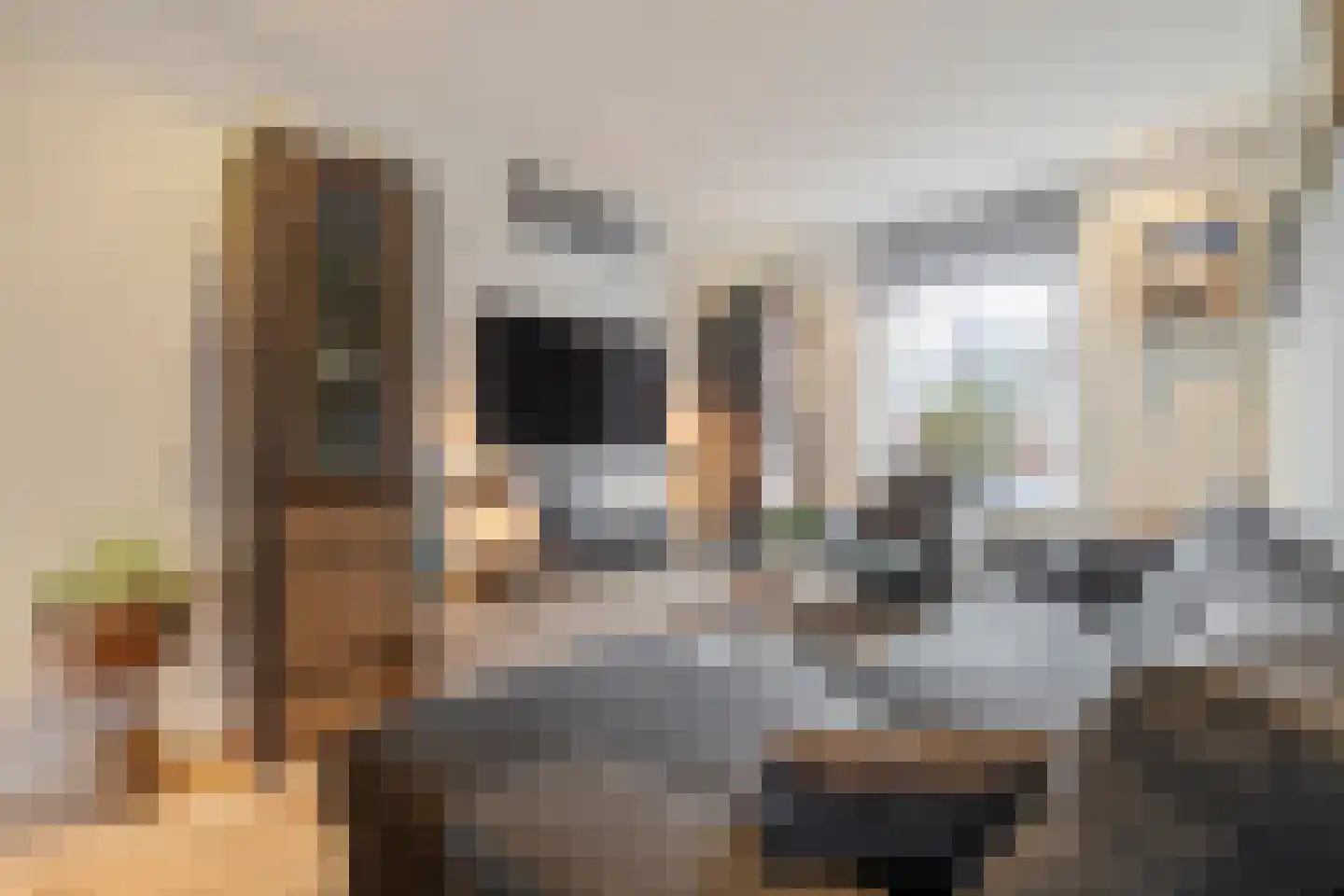 Treebeekstraat 46 Brunssum thumbnail 6