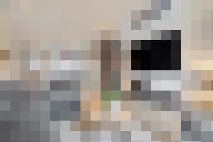 Treebeekstraat 46 Brunssum thumbnail 8