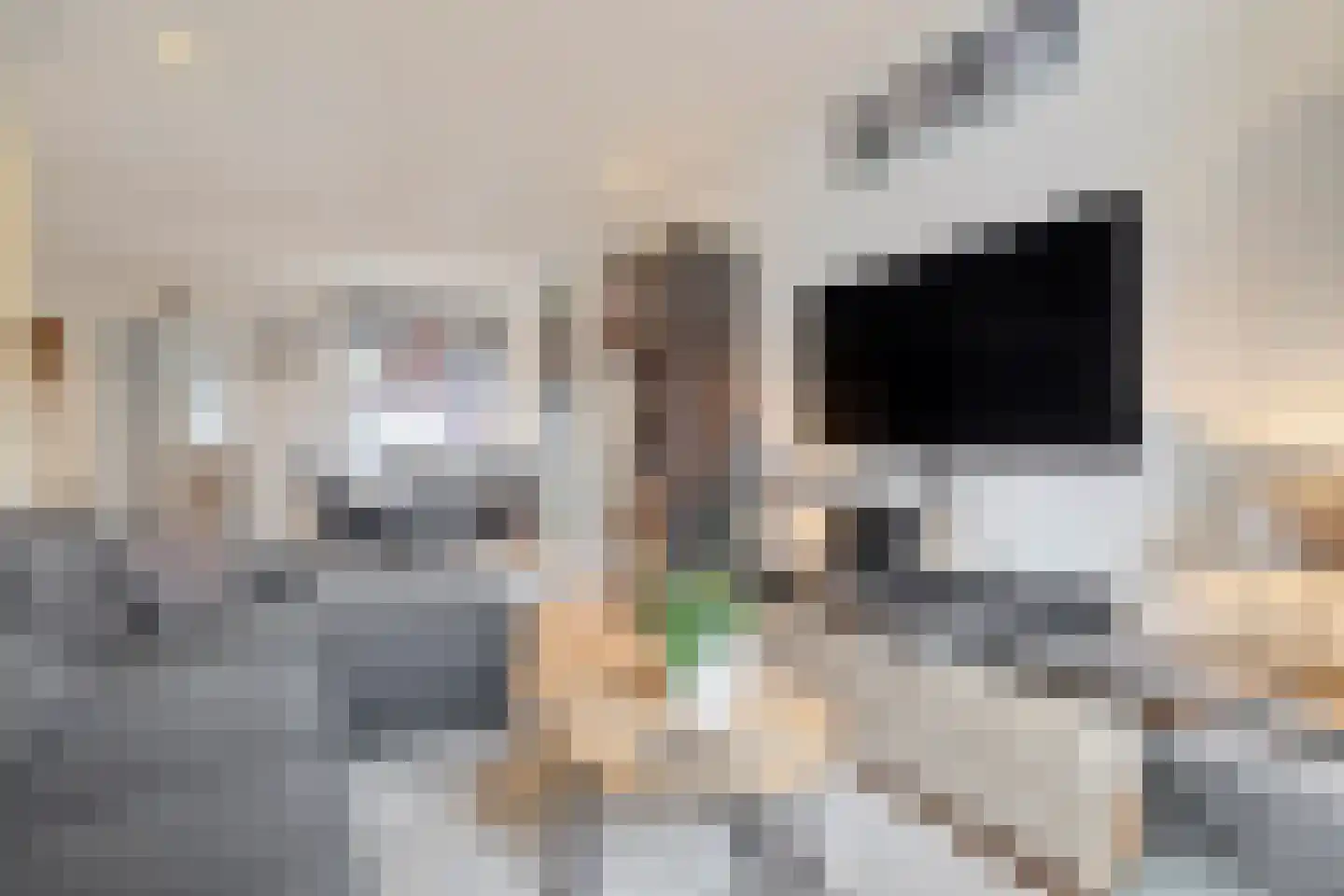 Treebeekstraat 46 Brunssum thumbnail 8