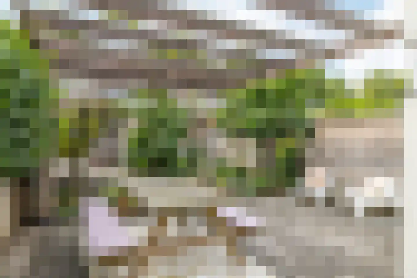 Treebeekstraat 56 Brunssum thumbnail 36