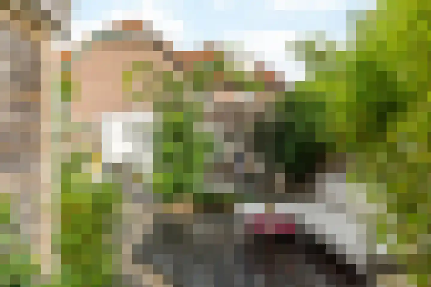 Treebeekstraat 56 Brunssum thumbnail 40