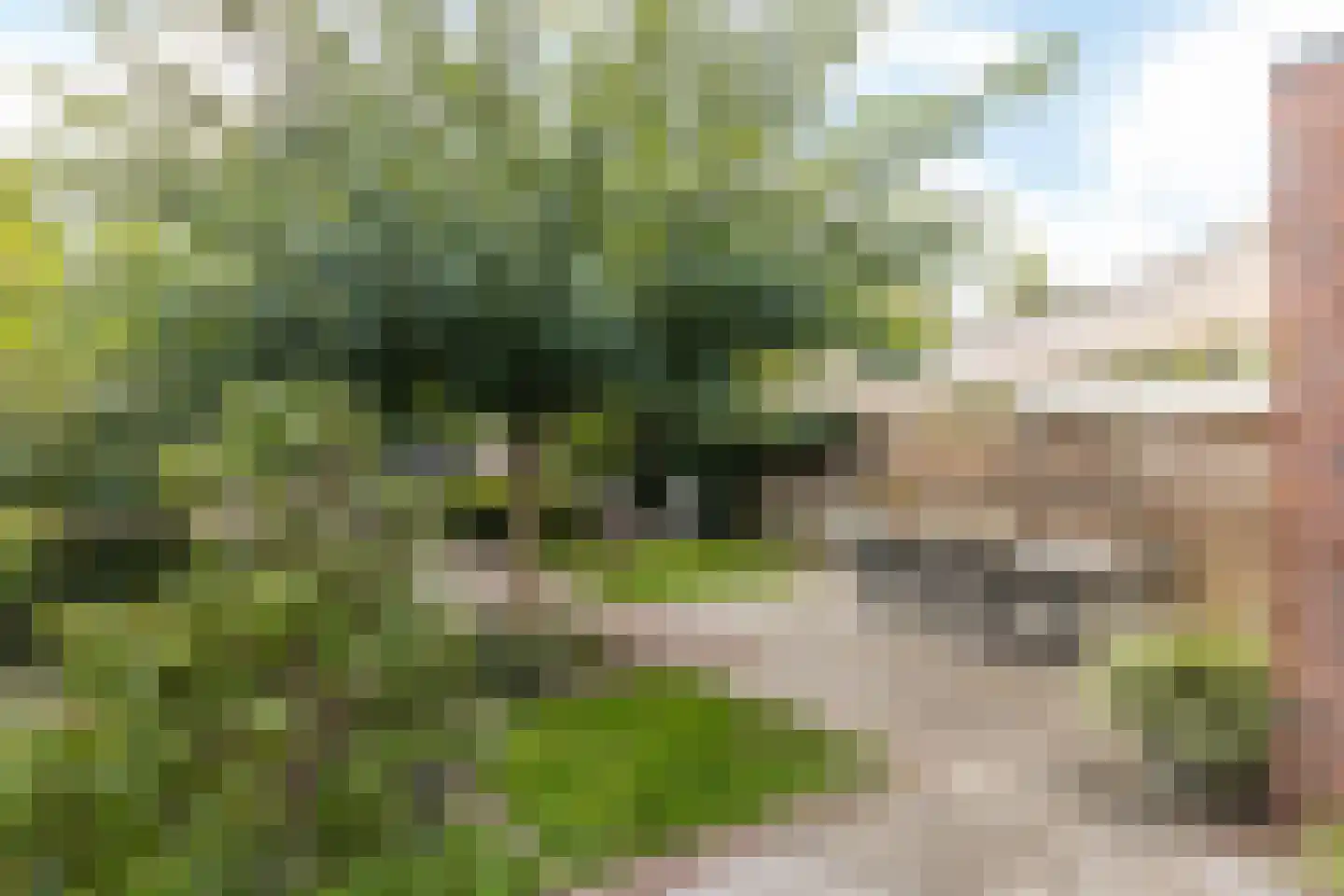 Treebeekstraat 58 Brunssum thumbnail 32
