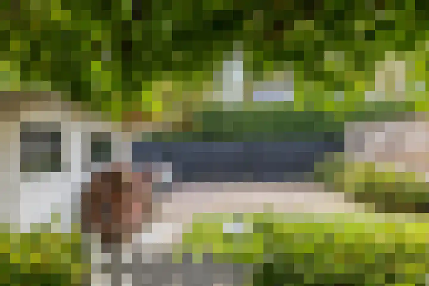 Treebeekstraat 58 Brunssum thumbnail 36