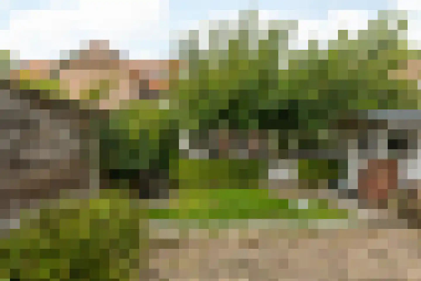Treebeekstraat 58 Brunssum thumbnail 38