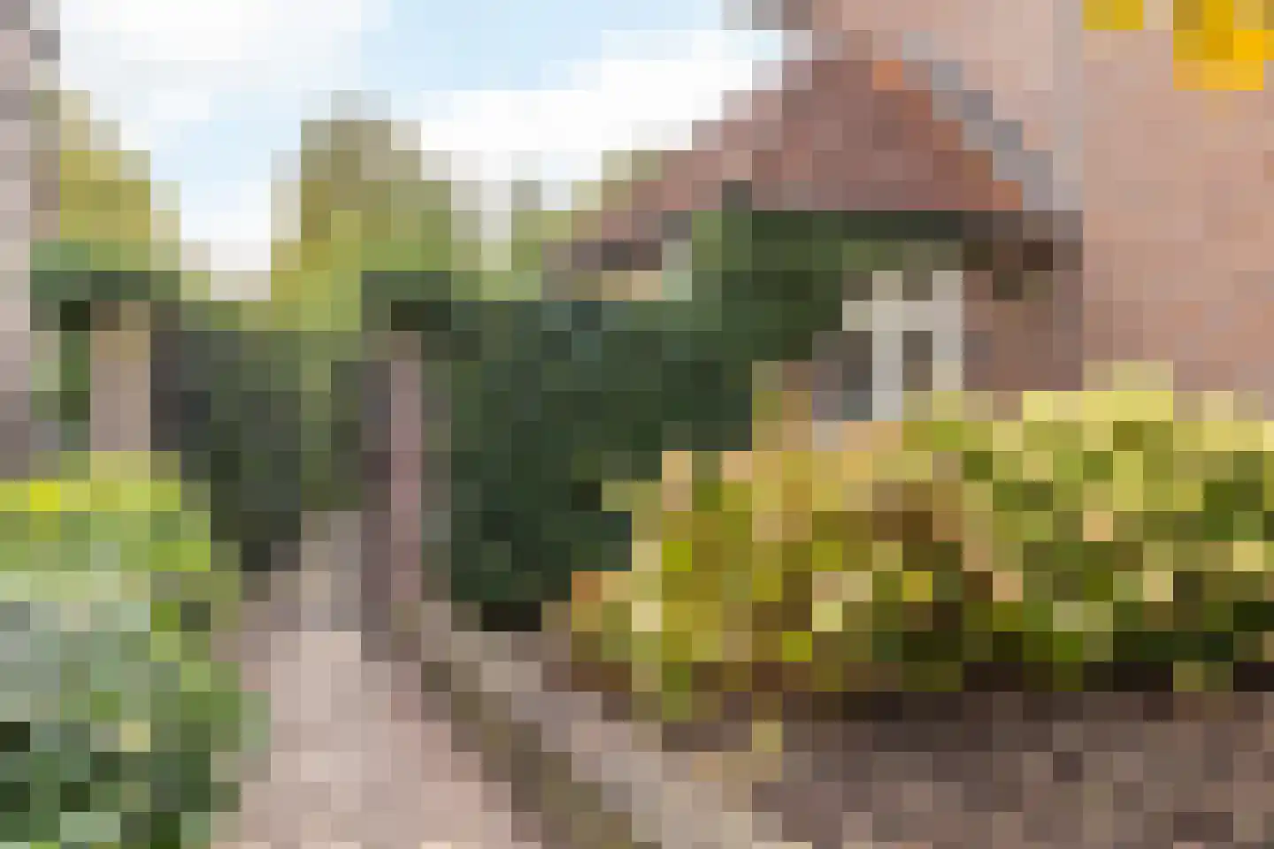 Treebeekstraat 58 Brunssum thumbnail 41