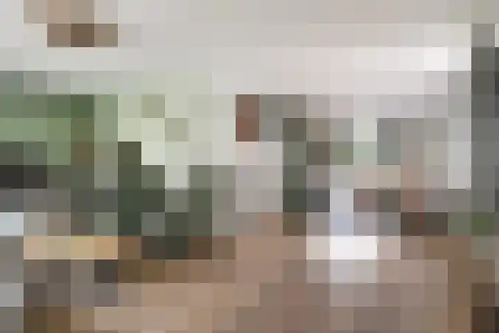Treebord 4 Enkhuizen thumbnail 15