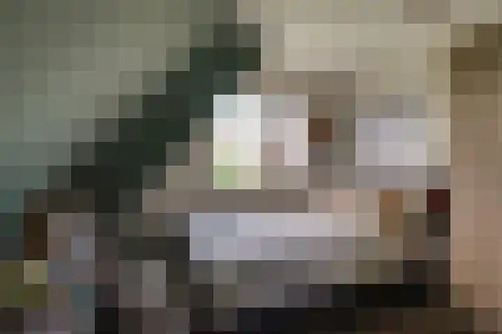 Treebord 4 Enkhuizen thumbnail 32