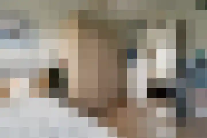 Treebord 4 Enkhuizen thumbnail 33