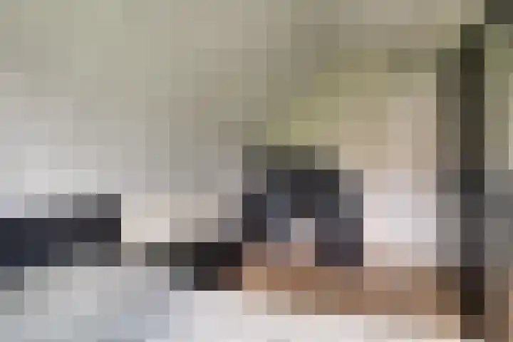 Treebord 4 Enkhuizen thumbnail 37