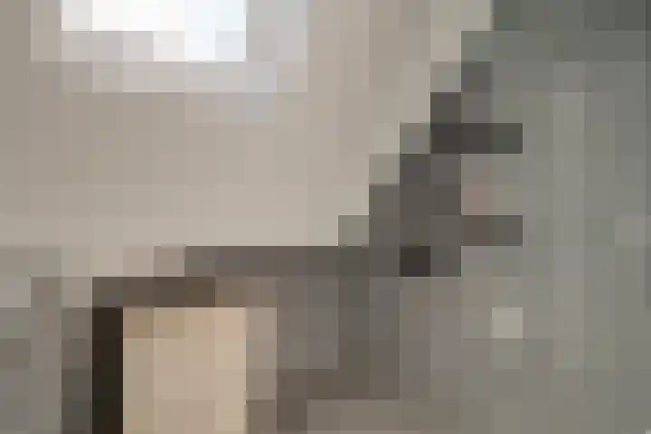 Treebord 4 Enkhuizen thumbnail 40