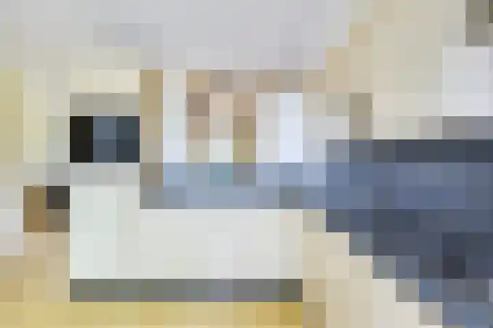Treek 38 Utrecht thumbnail 15