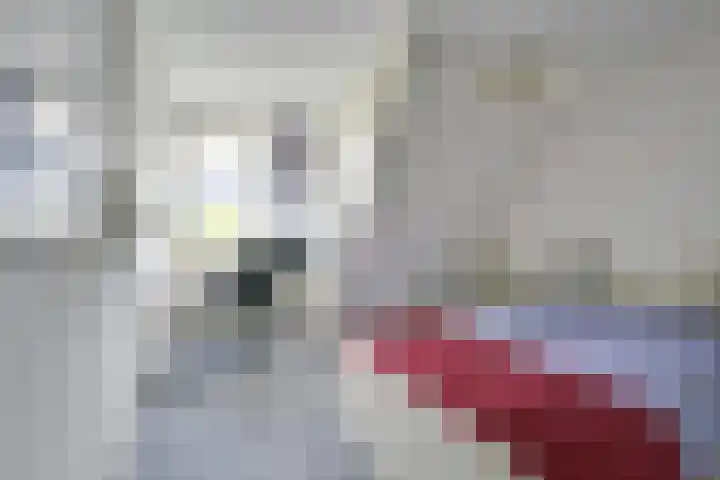 Treek 38 Utrecht thumbnail 17