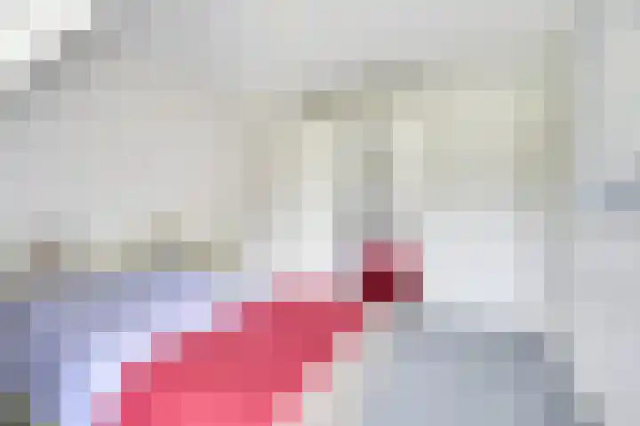 Treek 38 Utrecht thumbnail 18