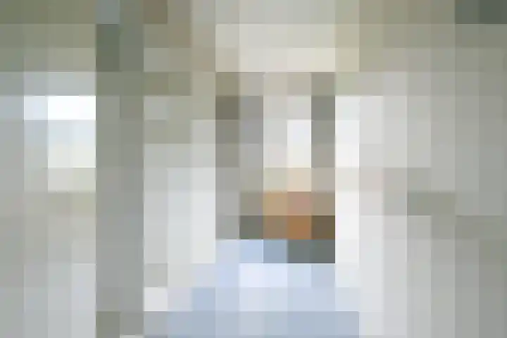 Treek 38 Utrecht thumbnail 22