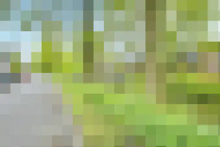 Treek 38 Utrecht thumbnail 26