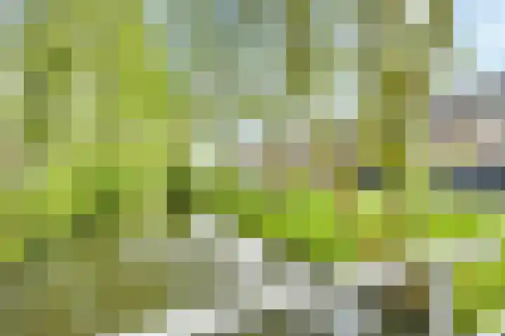 Treek 38 Utrecht thumbnail 27