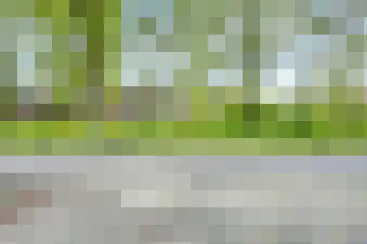 Treek 38 Utrecht thumbnail 29