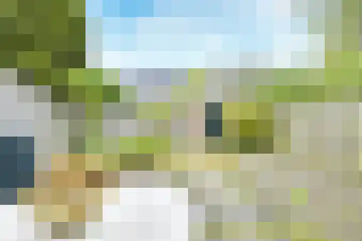 Treek 38 Utrecht thumbnail 4