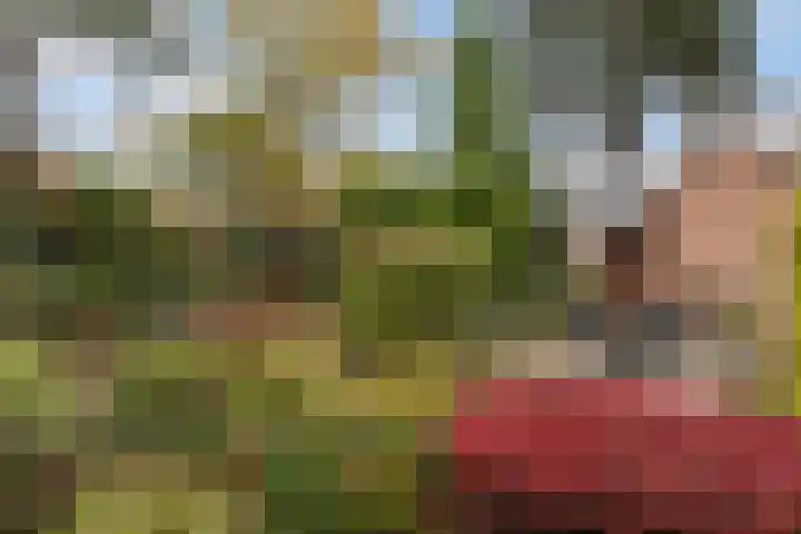 Treekerbergje 12 Amersfoort thumbnail 21