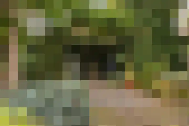 Treekerbergje 12 Amersfoort thumbnail 25