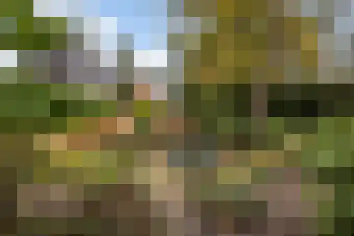 Treekerbergje 12 Amersfoort thumbnail 26