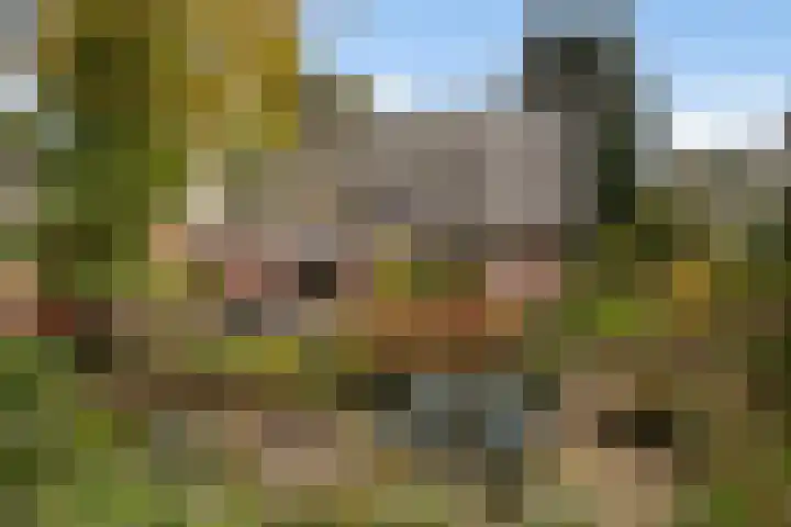 Treekerbergje 12 Amersfoort thumbnail 27