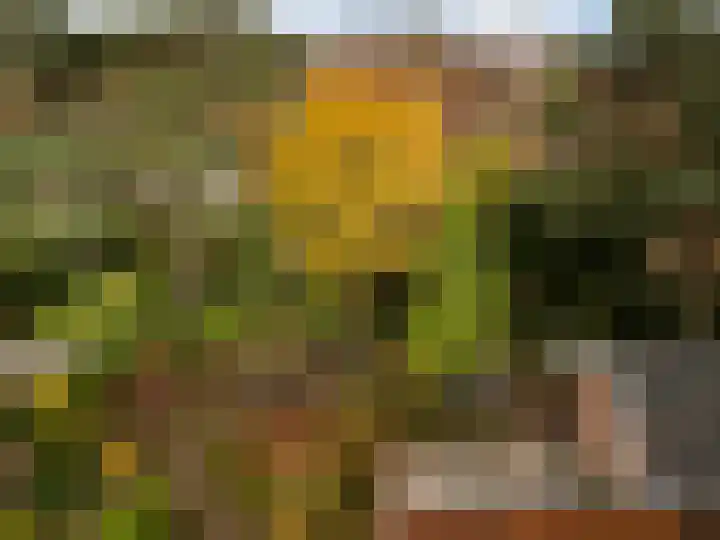 Treekerbergje 12 Amersfoort thumbnail 39