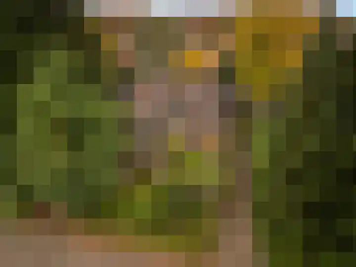 Treekerbergje 12 Amersfoort thumbnail 42