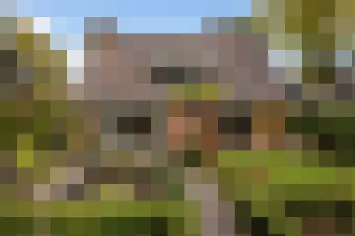Treekerbergje 12 Amersfoort thumbnail 6