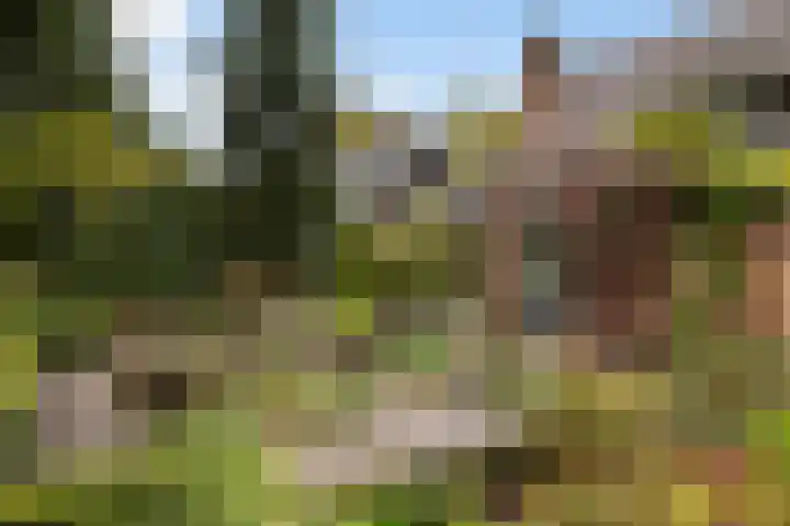 Treekerbergje 12 Amersfoort thumbnail 7