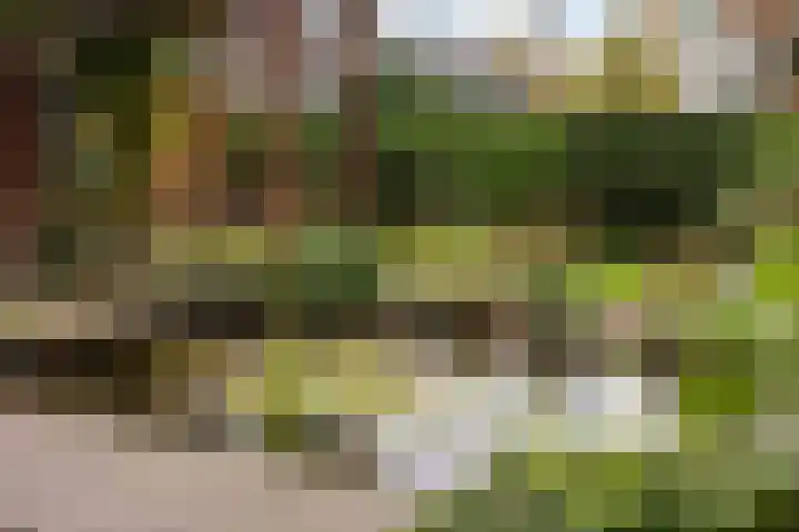 Treekerbergje 12 Amersfoort thumbnail 8