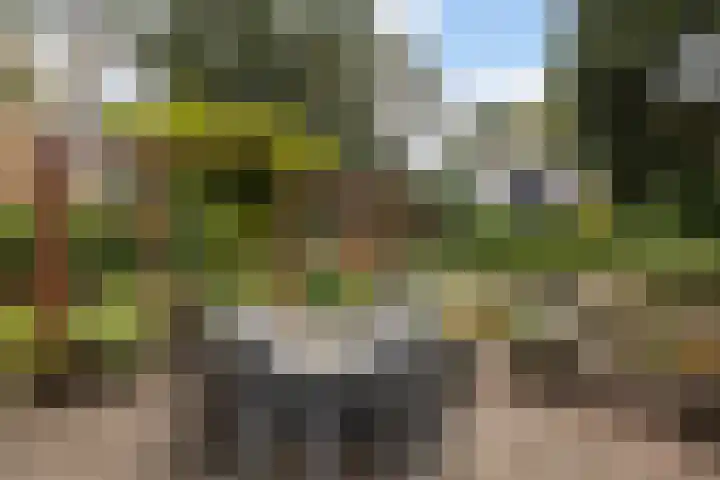Treekerbergje 12 Amersfoort thumbnail 9