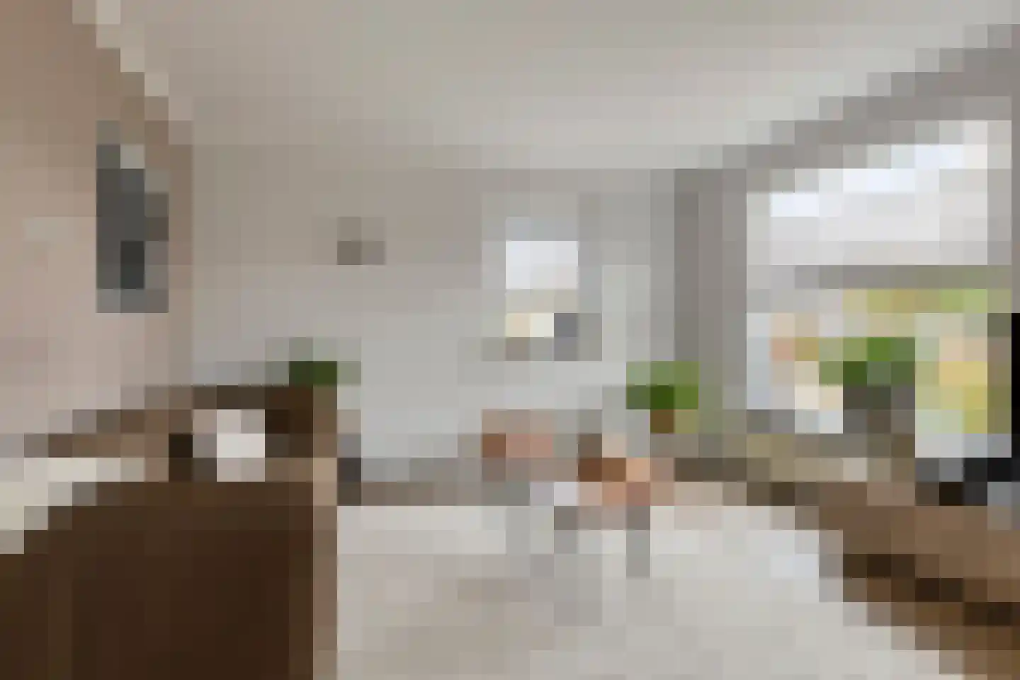 Treem 5 Stiens thumbnail 10